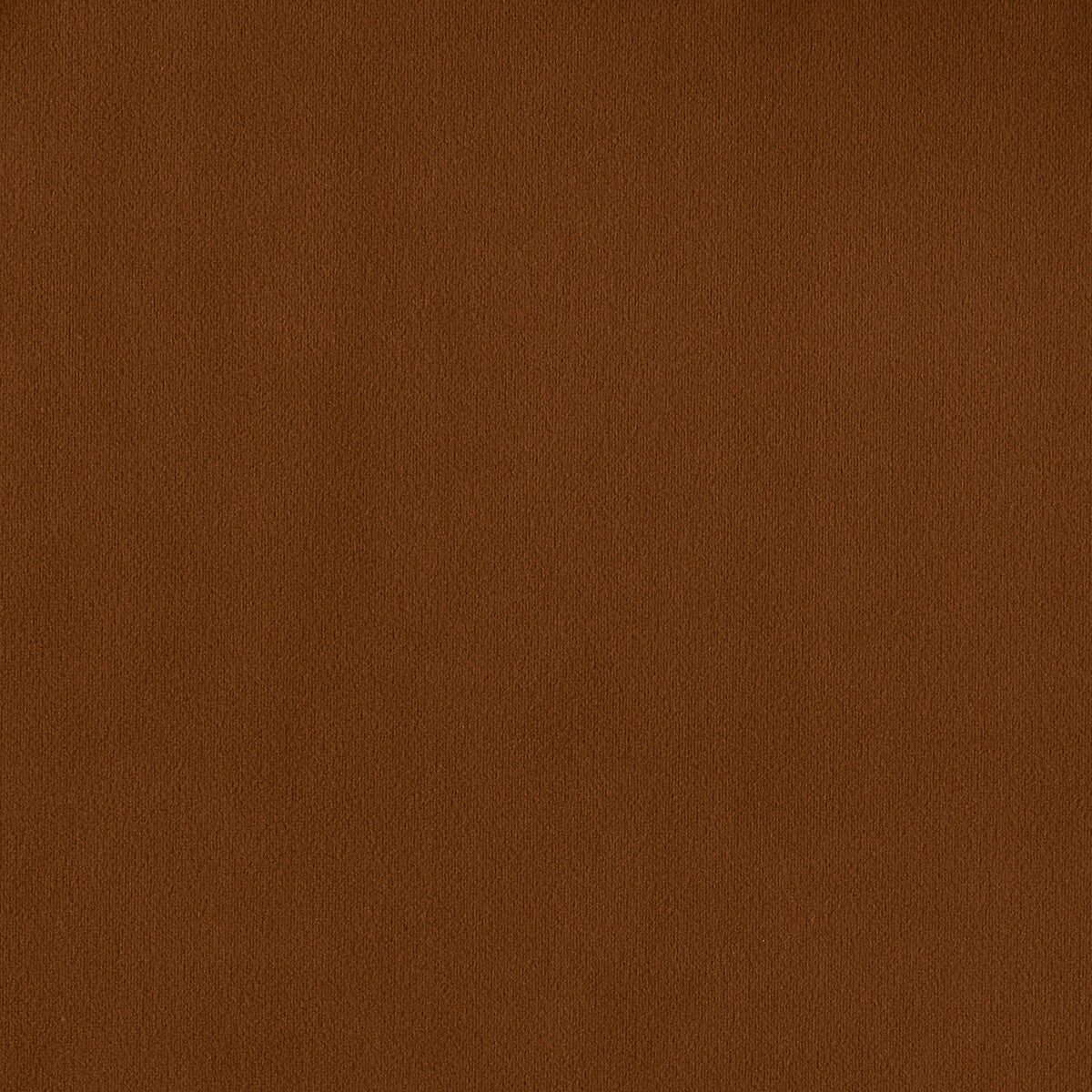 Miami fabric in amber color - pattern F1511/02.CAC.0 - by Clarke And Clarke in the Clarke & Clarke Miami collection