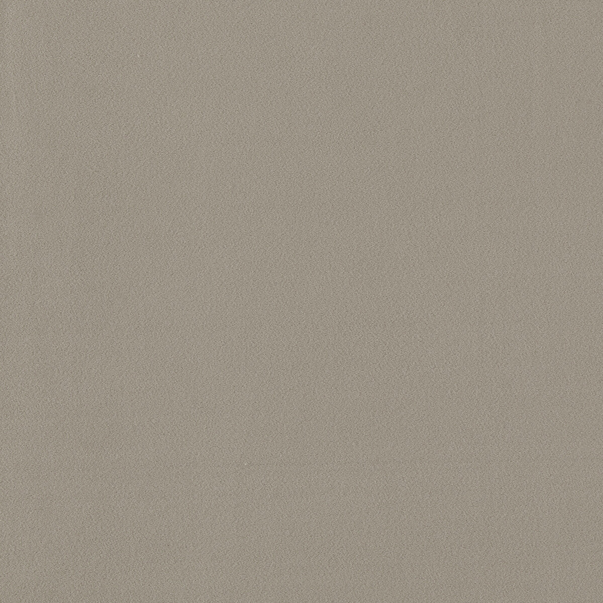 Miami fabric in ash color - pattern F1511/04.CAC.0 - by Clarke And Clarke in the Clarke & Clarke Miami collection