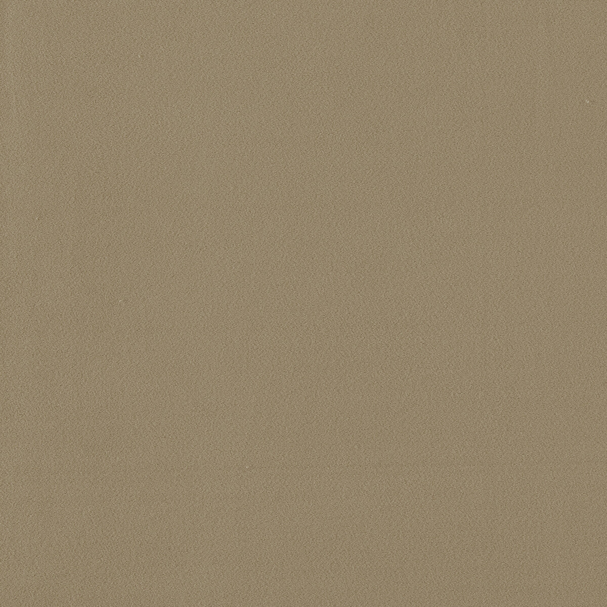 Miami fabric in beaver color - pattern F1511/05.CAC.0 - by Clarke And Clarke in the Clarke & Clarke Miami collection