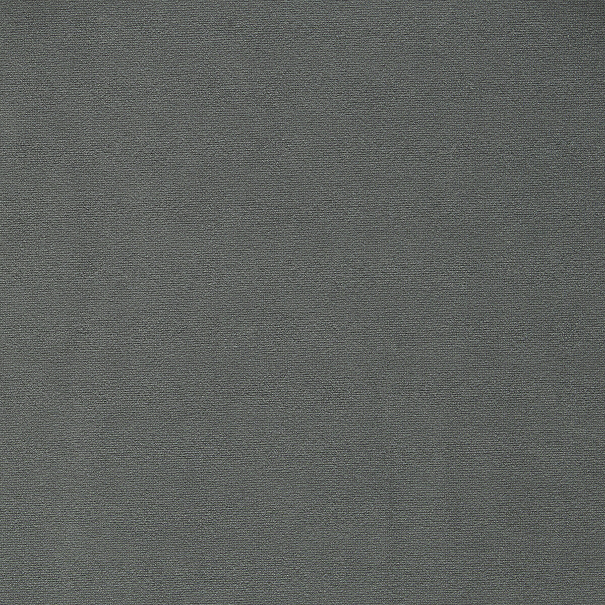 Miami fabric in charcoal color - pattern F1511/06.CAC.0 - by Clarke And Clarke in the Clarke & Clarke Miami collection