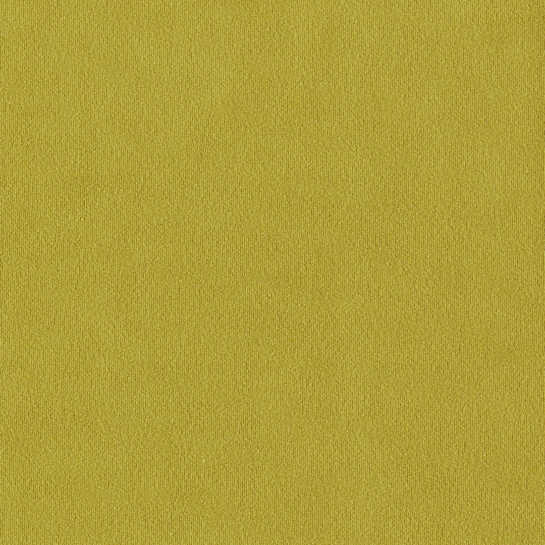 Miami fabric in chartreuse color - pattern F1511/07.CAC.0 - by Clarke And Clarke in the Clarke &amp; Clarke Miami collection