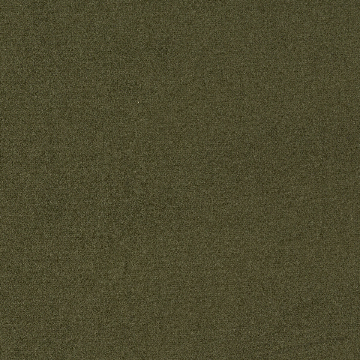 Miami fabric in chive color - pattern F1511/08.CAC.0 - by Clarke And Clarke in the Clarke &amp; Clarke Miami collection