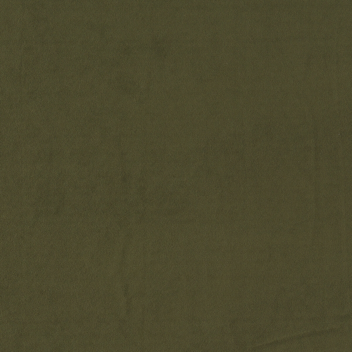 Miami fabric in chive color - pattern F1511/08.CAC.0 - by Clarke And Clarke in the Clarke & Clarke Miami collection