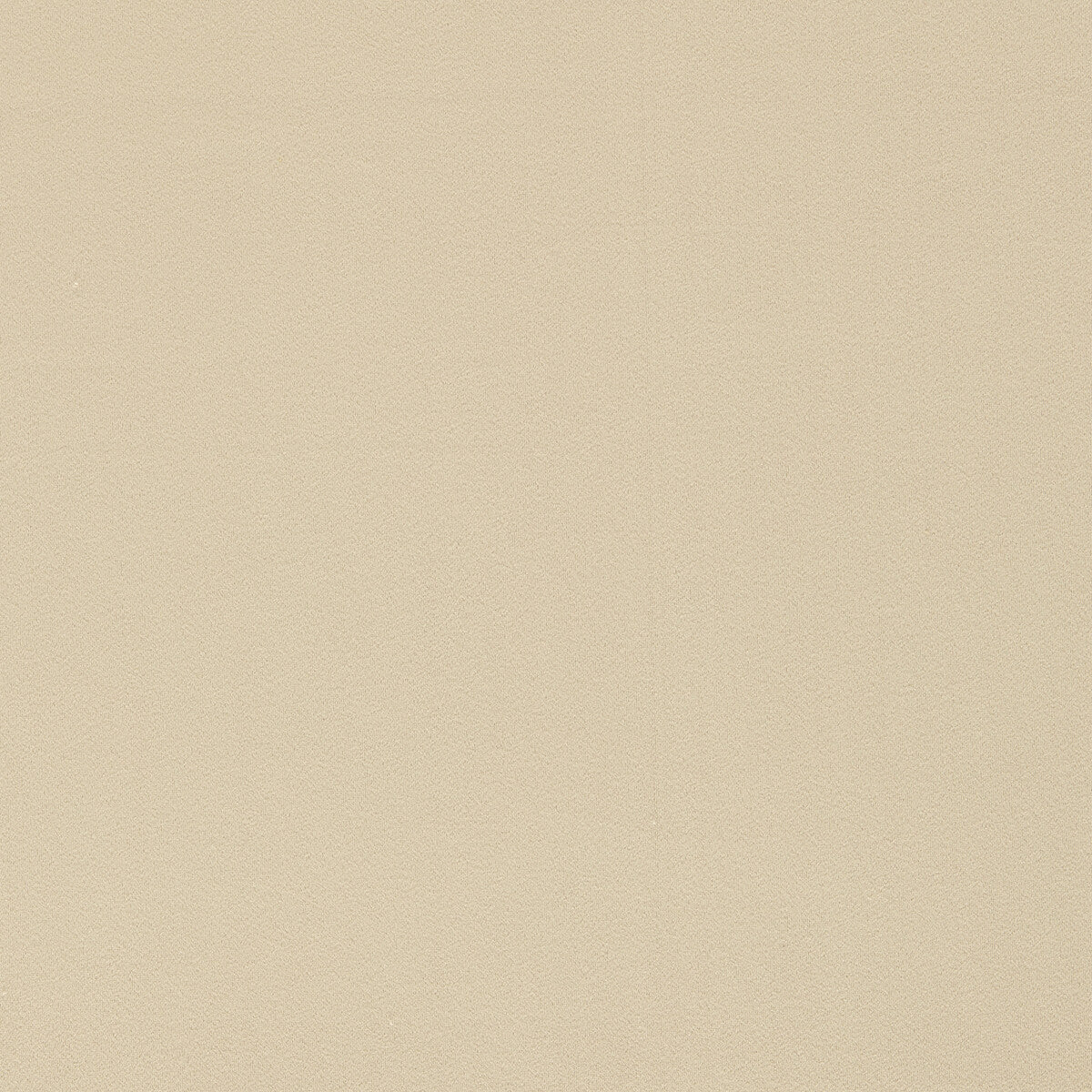 Miami fabric in cream color - pattern F1511/10.CAC.0 - by Clarke And Clarke in the Clarke & Clarke Miami collection