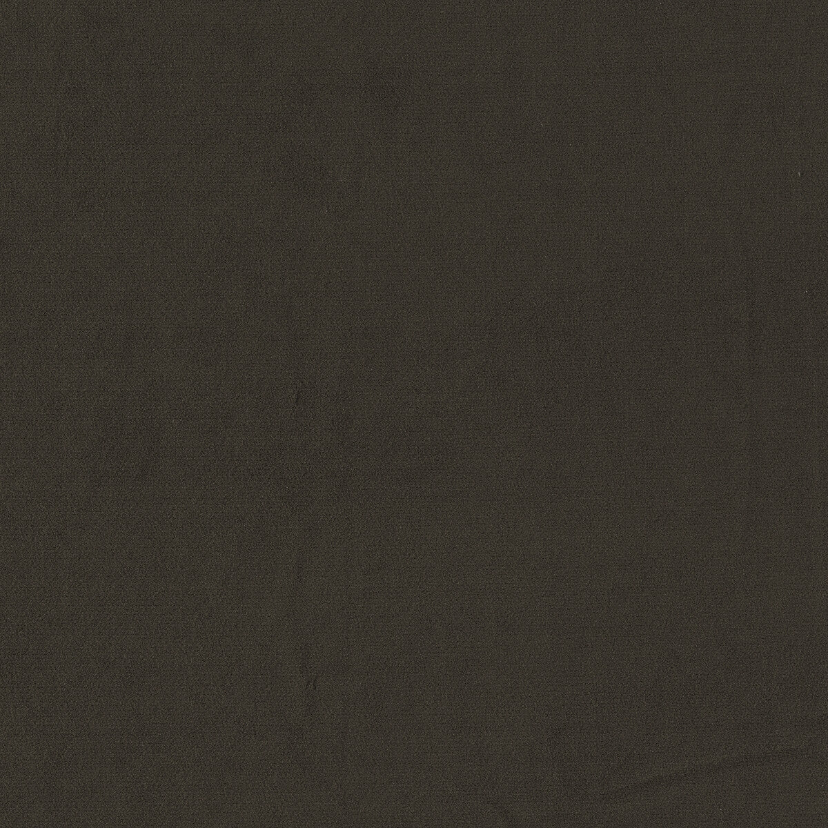 Miami fabric in espresso color - pattern F1511/12.CAC.0 - by Clarke And Clarke in the Clarke & Clarke Miami collection