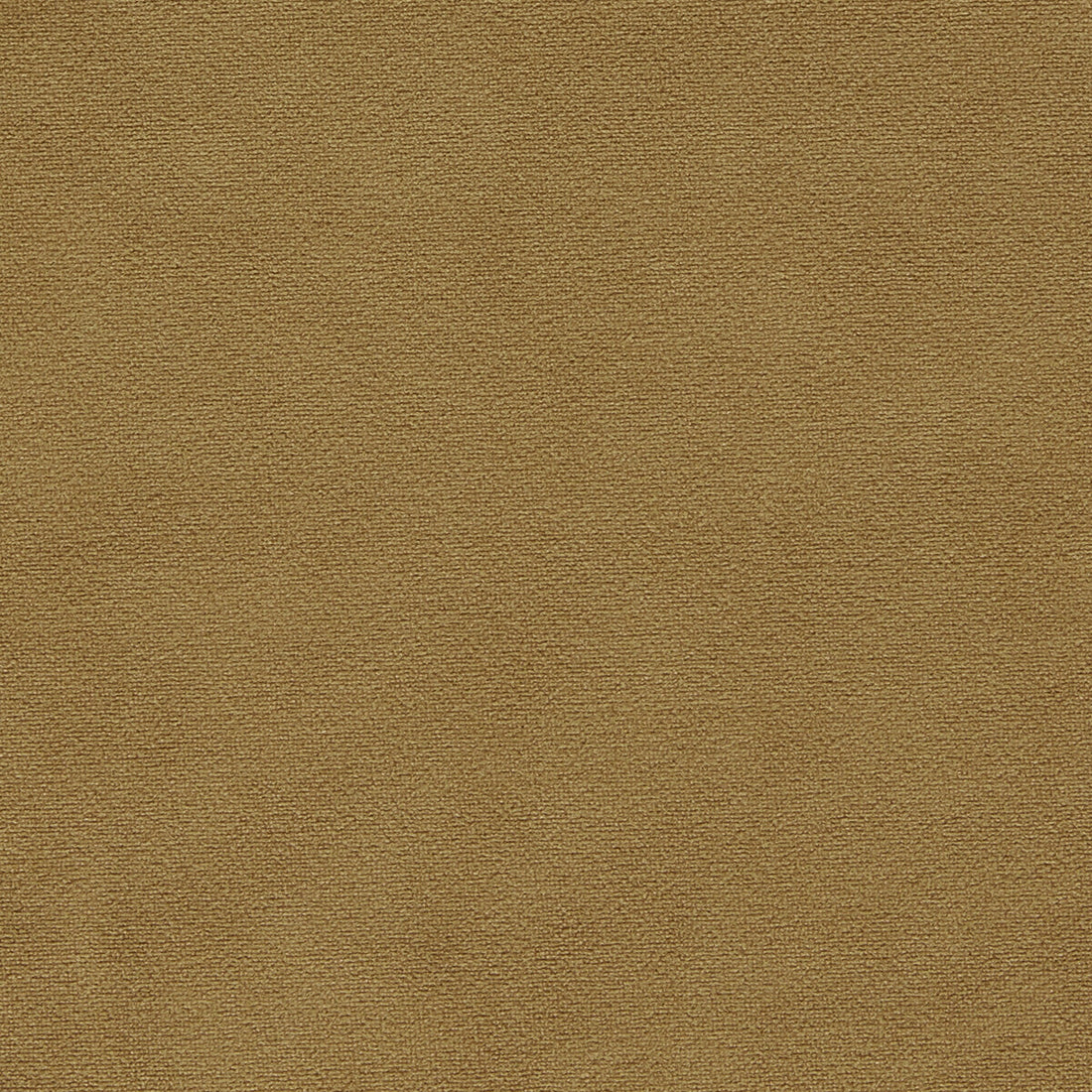 Miami fabric in gold color - pattern F1511/14.CAC.0 - by Clarke And Clarke in the Clarke &amp; Clarke Miami collection