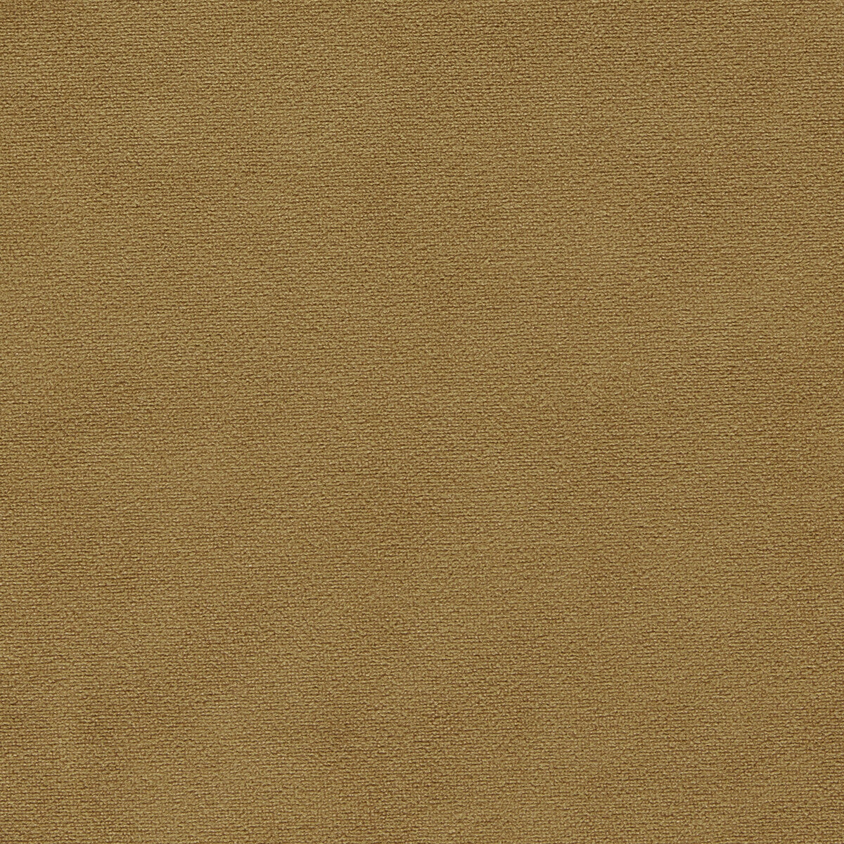 Miami fabric in gold color - pattern F1511/14.CAC.0 - by Clarke And Clarke in the Clarke & Clarke Miami collection