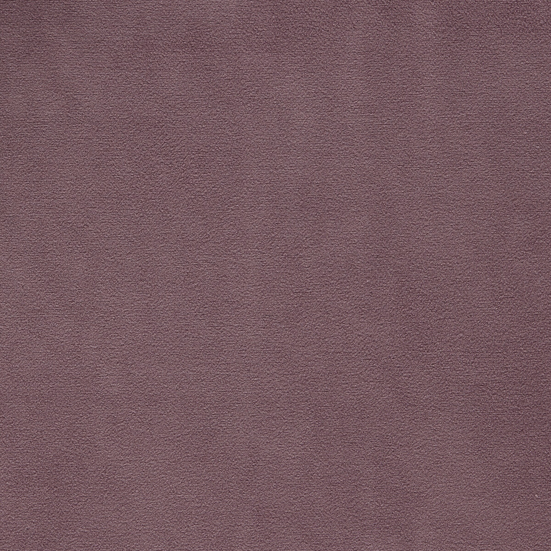 Miami fabric in heather color - pattern F1511/15.CAC.0 - by Clarke And Clarke in the Clarke &amp; Clarke Miami collection