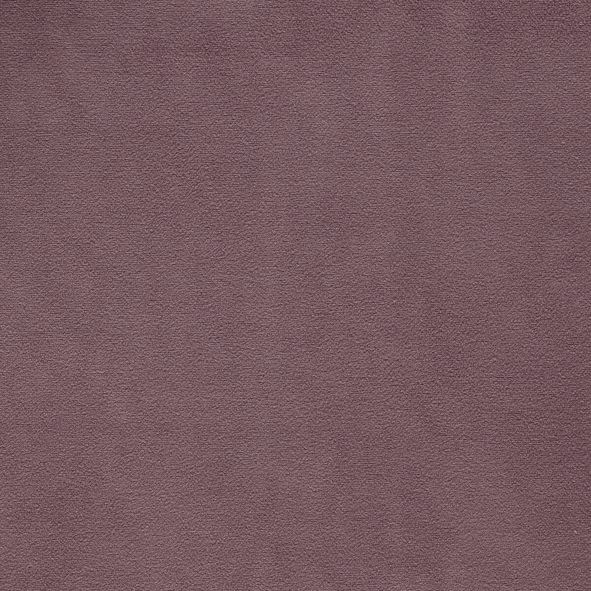 Miami fabric in heather color - pattern F1511/15.CAC.0 - by Clarke And Clarke in the Clarke & Clarke Miami collection