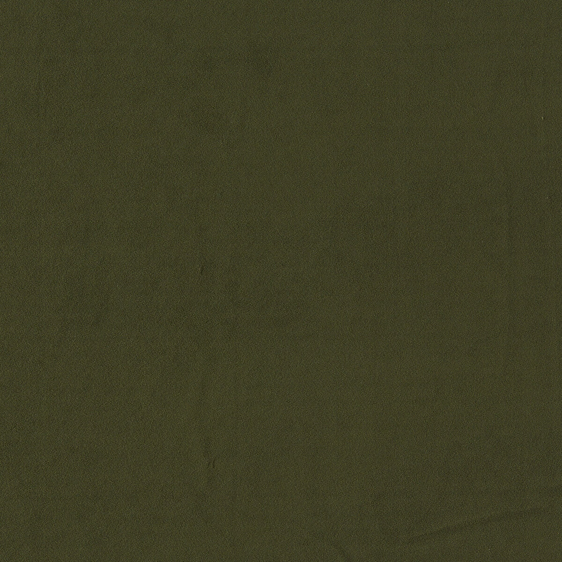 Miami fabric in herb color - pattern F1511/16.CAC.0 - by Clarke And Clarke in the Clarke &amp; Clarke Miami collection