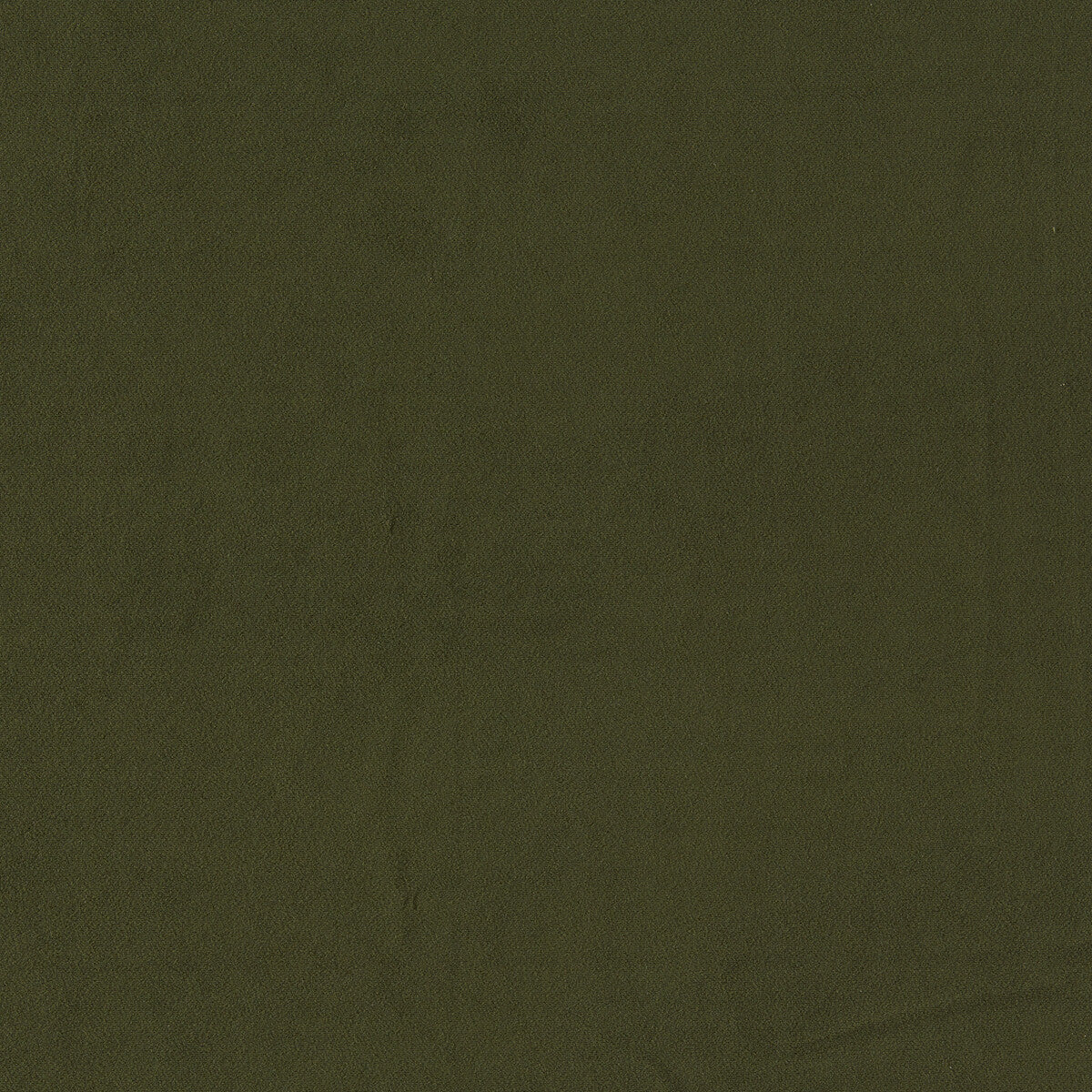 Miami fabric in herb color - pattern F1511/16.CAC.0 - by Clarke And Clarke in the Clarke & Clarke Miami collection