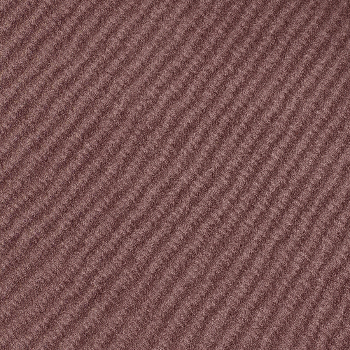 Miami fabric in rose color - pattern F1511/20.CAC.0 - by Clarke And Clarke in the Clarke & Clarke Miami collection