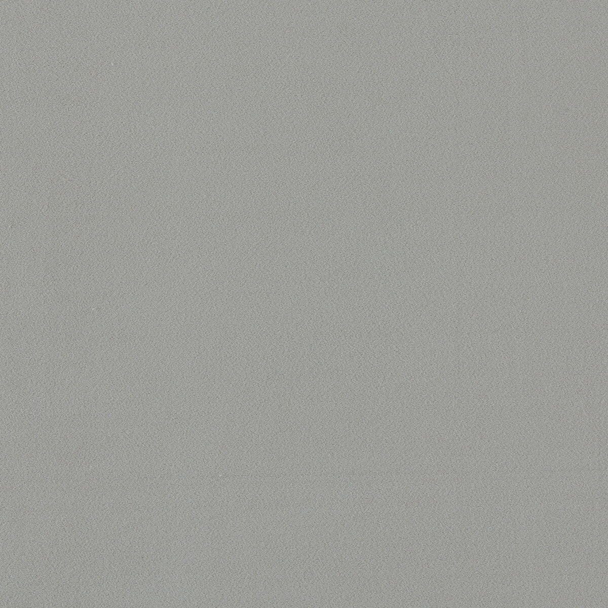 Miami fabric in silver color - pattern F1511/21.CAC.0 - by Clarke And Clarke in the Clarke & Clarke Miami collection