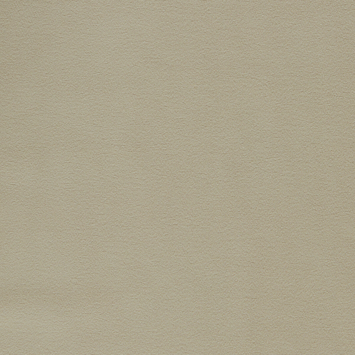 Miami fabric in taupe color - pattern F1511/23.CAC.0 - by Clarke And Clarke in the Clarke & Clarke Miami collection