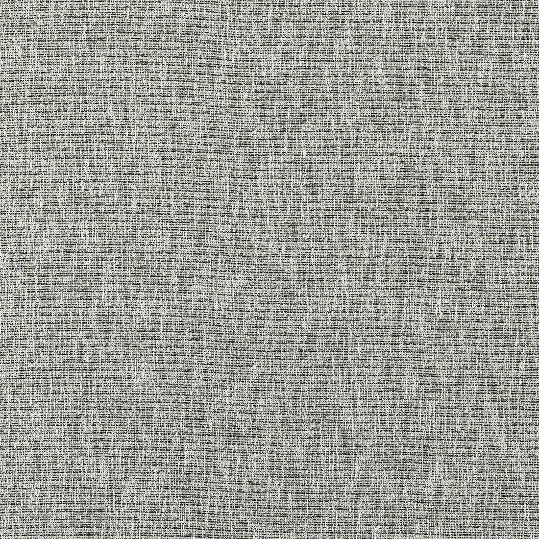 Avani fabric in charcoal color - pattern F1527/02.CAC.0 - by Clarke And Clarke in the Clarke &amp; Clarke Eco collection