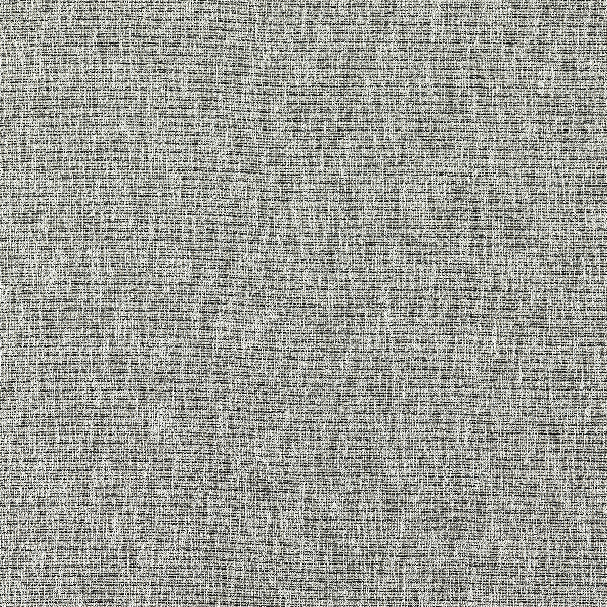 Avani fabric in charcoal color - pattern F1527/02.CAC.0 - by Clarke And Clarke in the Clarke & Clarke Eco collection