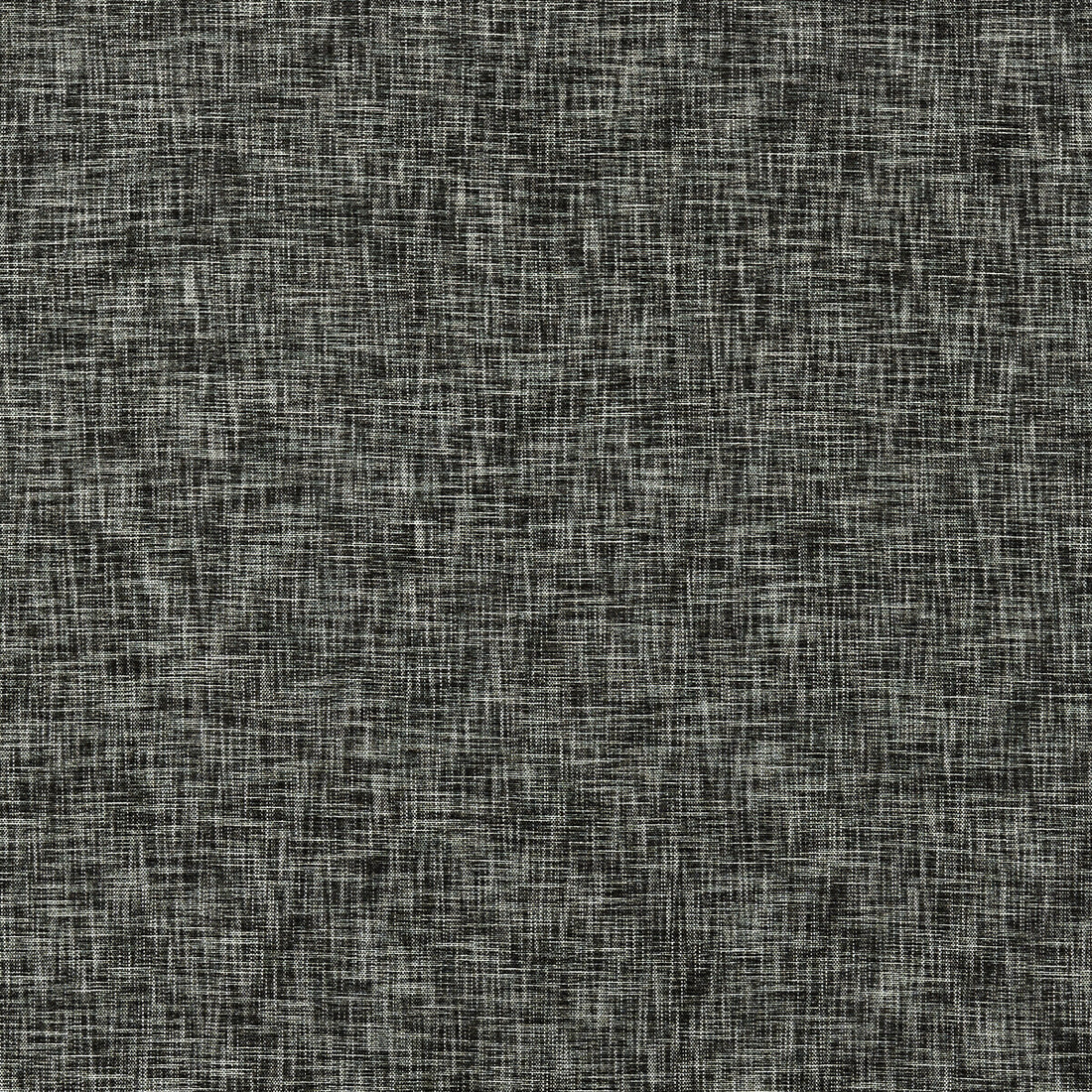 Gaia fabric in charcoal color - pattern F1528/03.CAC.0 - by Clarke And Clarke in the Clarke &amp; Clarke Eco collection