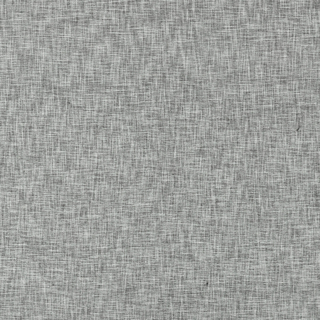 Gaia fabric in gunmetal color - pattern F1528/06.CAC.0 - by Clarke And Clarke in the Clarke &amp; Clarke Eco collection