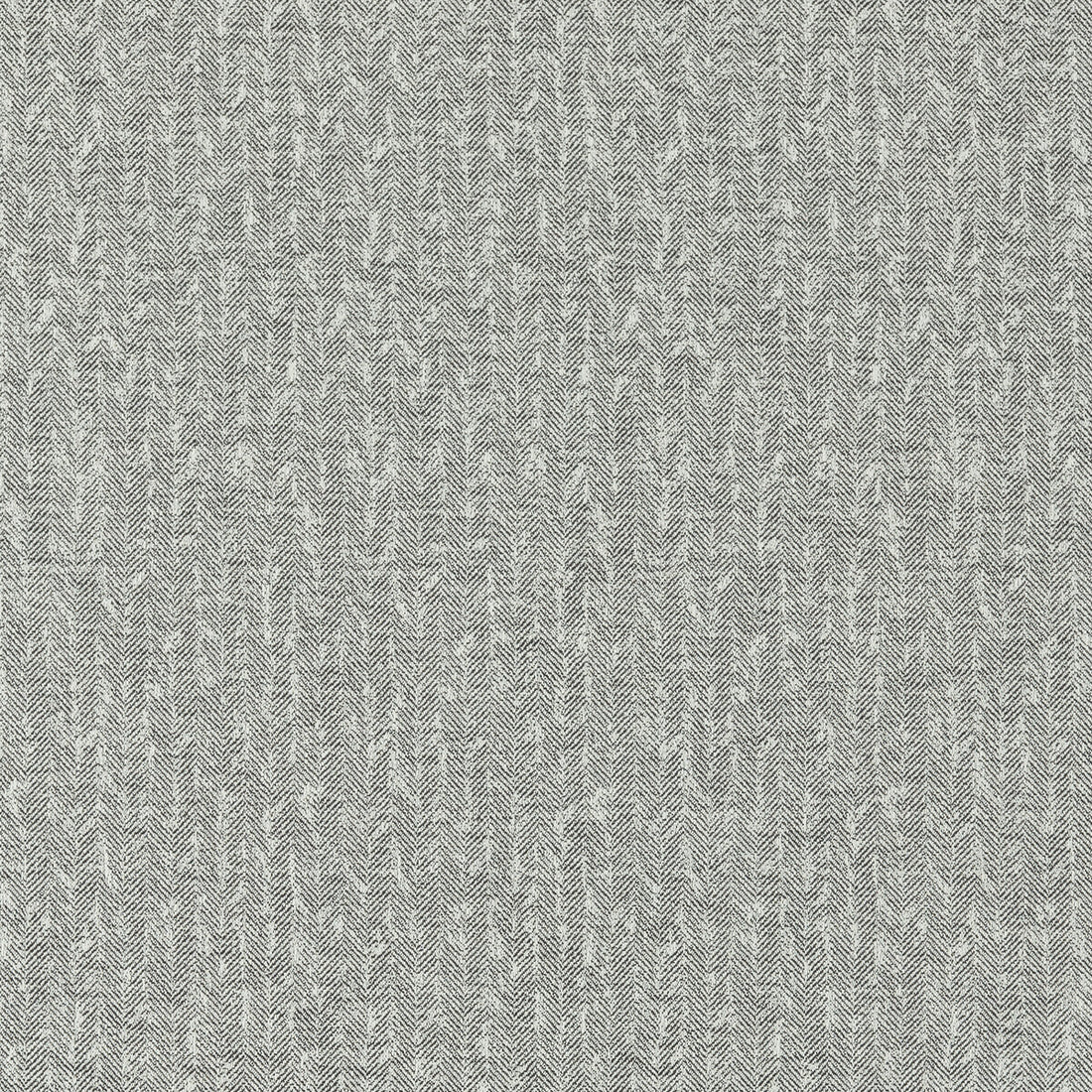 Tierra fabric in charcoal color - pattern F1529/03.CAC.0 - by Clarke And Clarke in the Clarke &amp; Clarke Eco collection