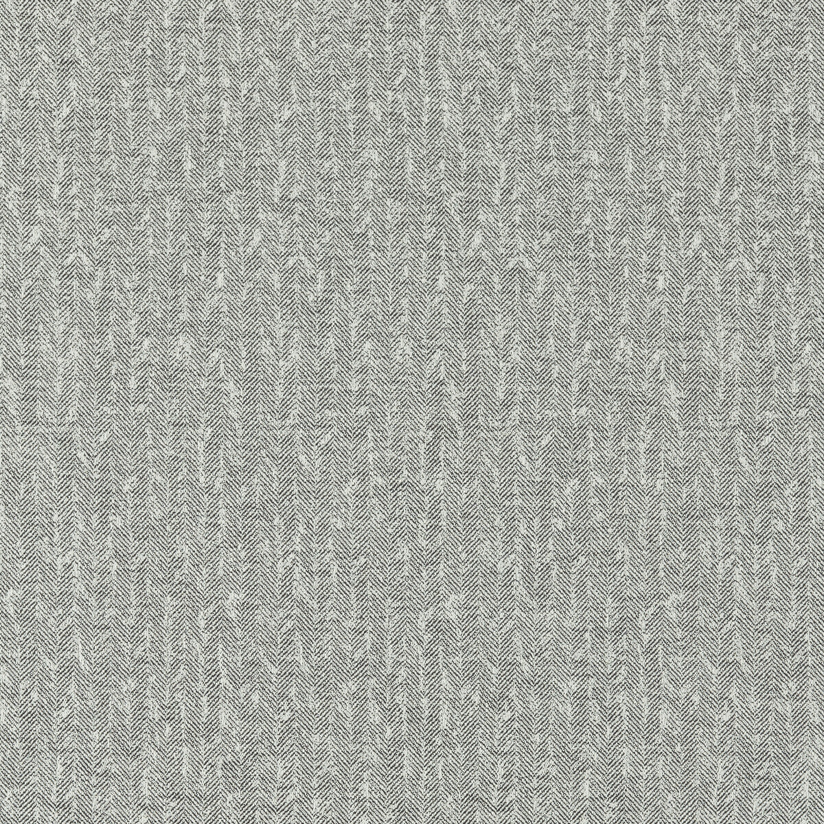 Tierra fabric in charcoal color - pattern F1529/03.CAC.0 - by Clarke And Clarke in the Clarke & Clarke Eco collection