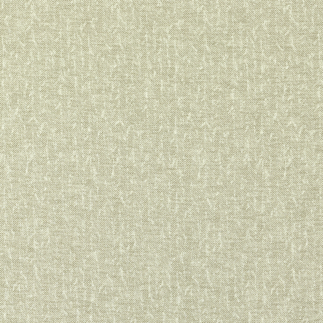 Tierra fabric in linen color - pattern F1529/05.CAC.0 - by Clarke And Clarke in the Clarke &amp; Clarke Eco collection