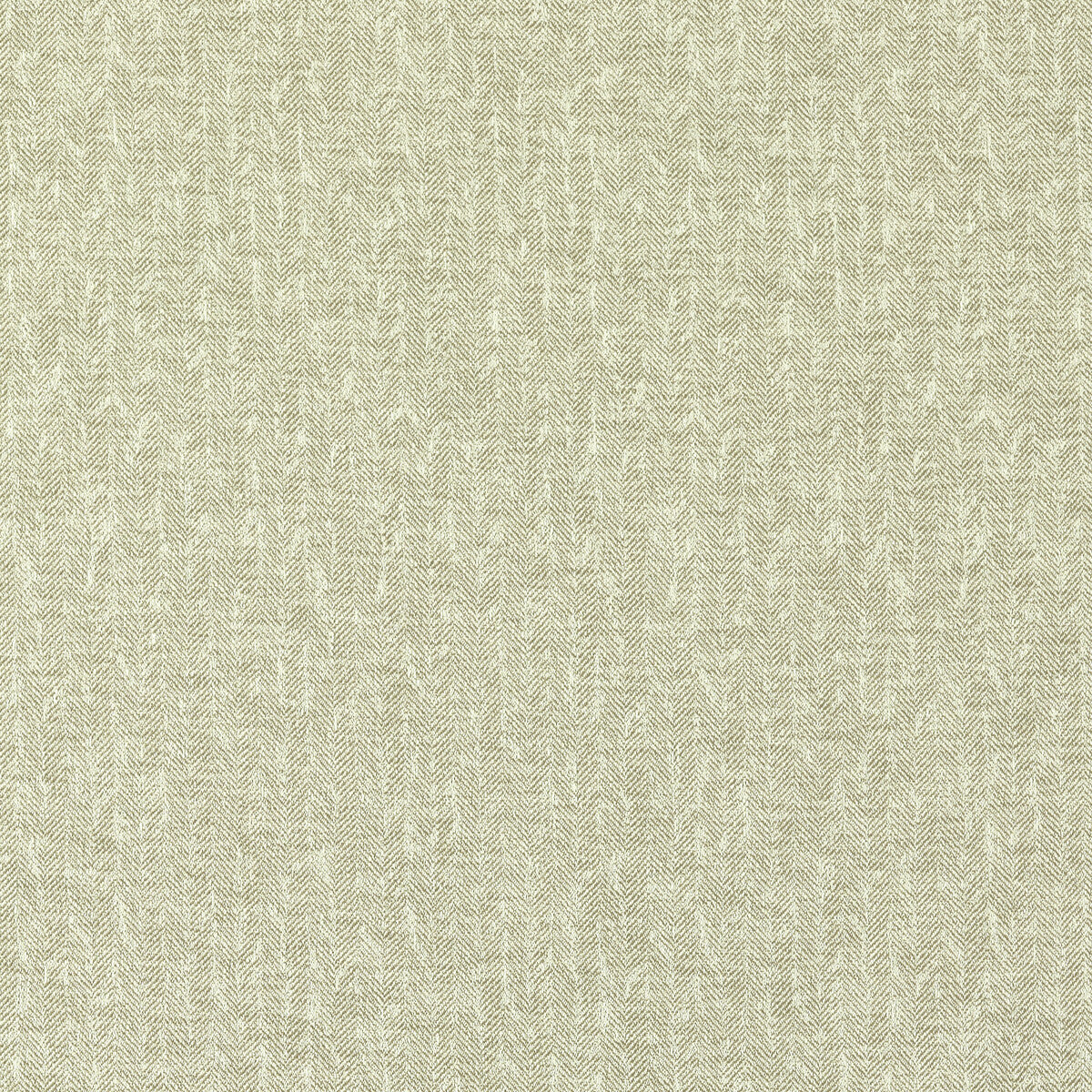 Tierra fabric in linen color - pattern F1529/05.CAC.0 - by Clarke And Clarke in the Clarke & Clarke Eco collection