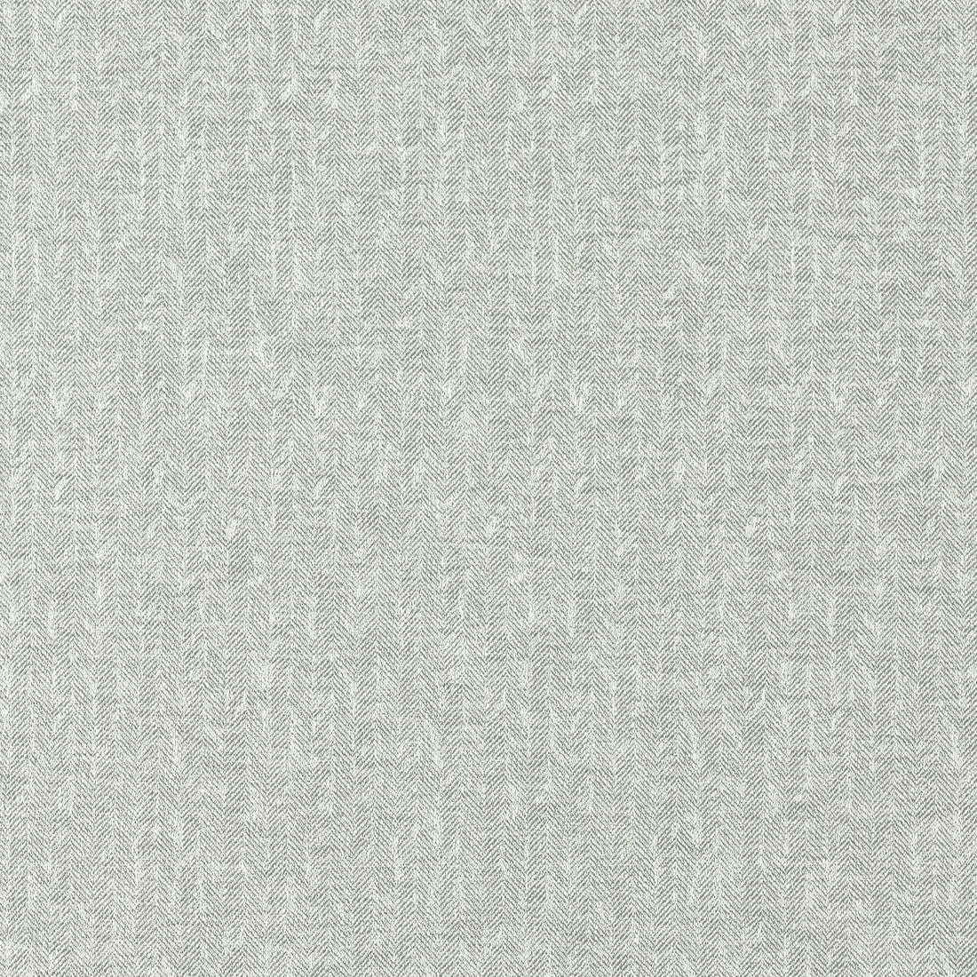 Tierra fabric in pewter color - pattern F1529/08.CAC.0 - by Clarke And Clarke in the Clarke &amp; Clarke Eco collection