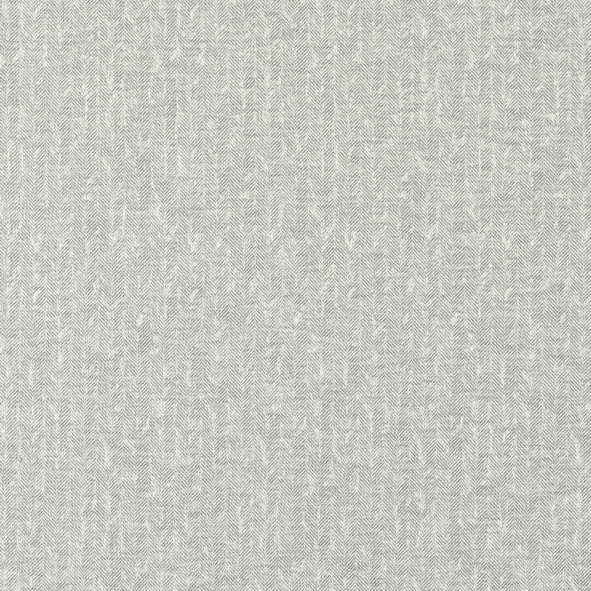 Tierra fabric in pewter color - pattern F1529/08.CAC.0 - by Clarke And Clarke in the Clarke & Clarke Eco collection