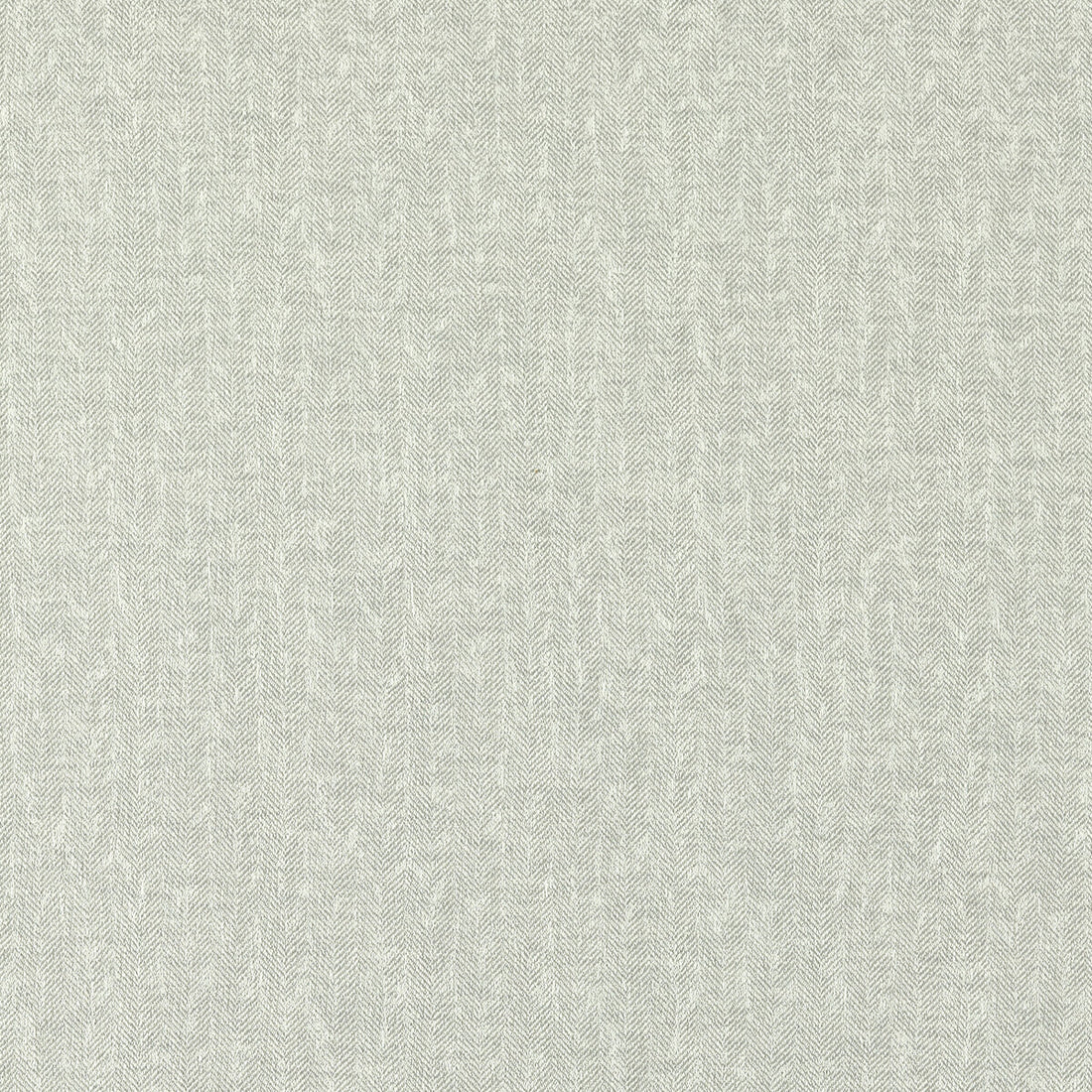 Tierra fabric in silver color - pattern F1529/09.CAC.0 - by Clarke And Clarke in the Clarke &amp; Clarke Eco collection