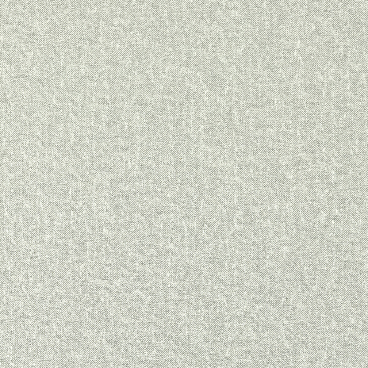 Tierra fabric in silver color - pattern F1529/09.CAC.0 - by Clarke And Clarke in the Clarke & Clarke Eco collection