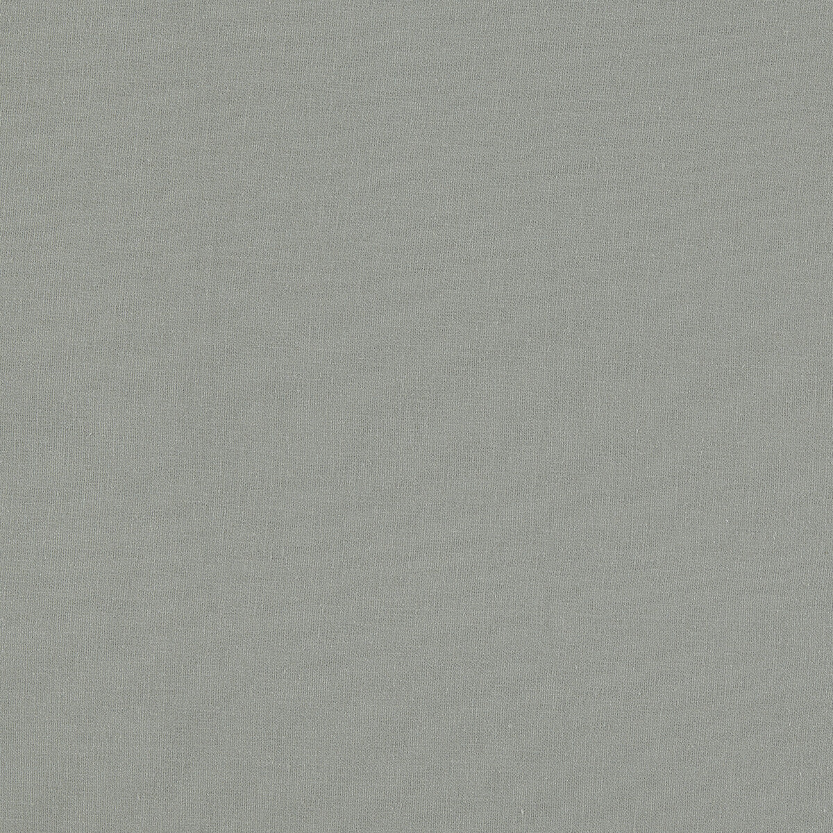 Lazio fabric in ash color - pattern F1537/02.CAC.0 - by Clarke And Clarke in the Clarke & Clarke Lazio collection