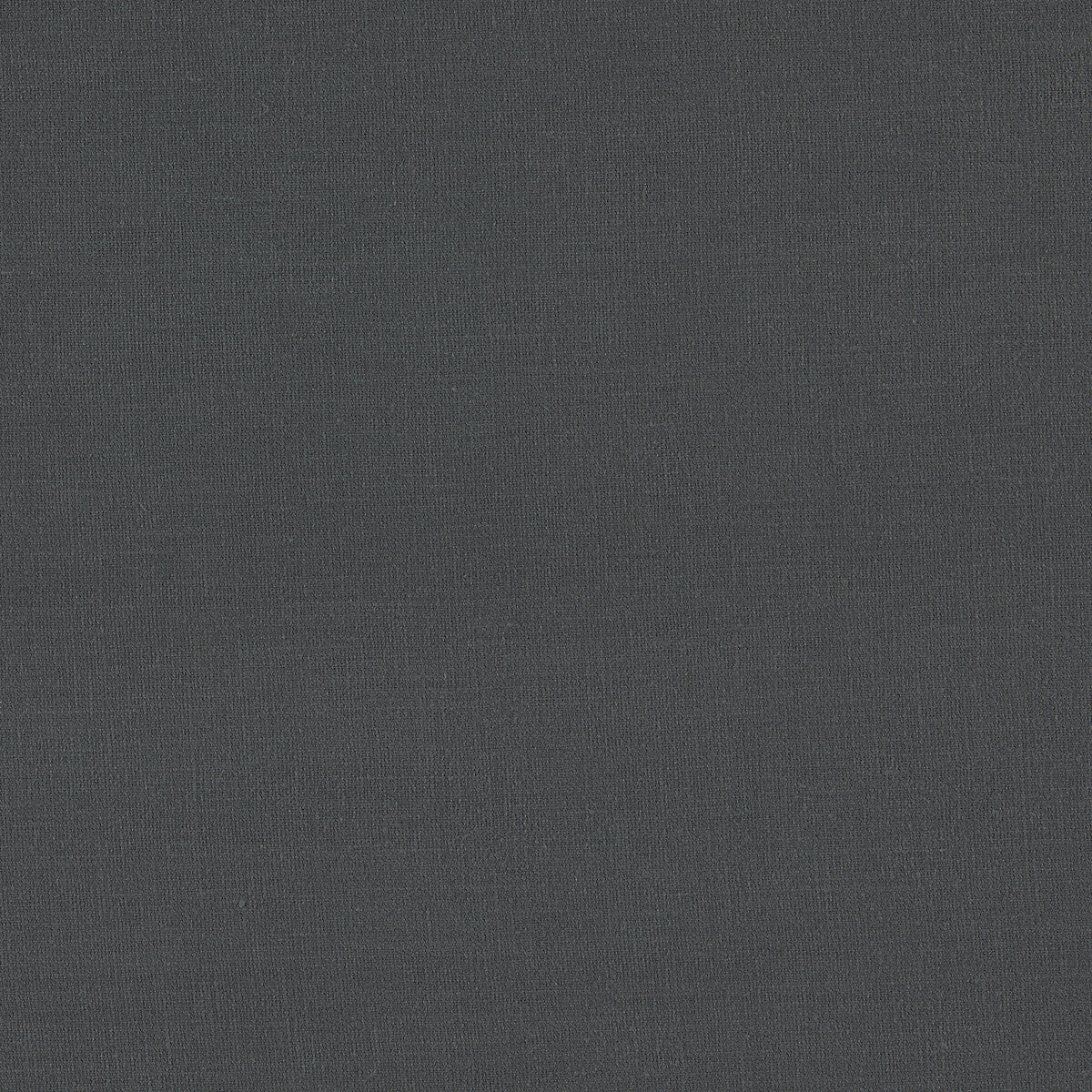 Lazio fabric in charcoal color - pattern F1537/07.CAC.0 - by Clarke And Clarke in the Clarke & Clarke Lazio collection