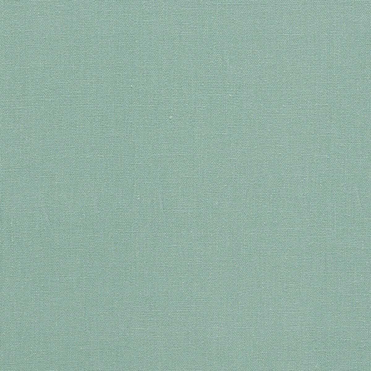 Lazio fabric in eau de nil color - pattern F1537/13.CAC.0 - by Clarke And Clarke in the Clarke & Clarke Lazio collection