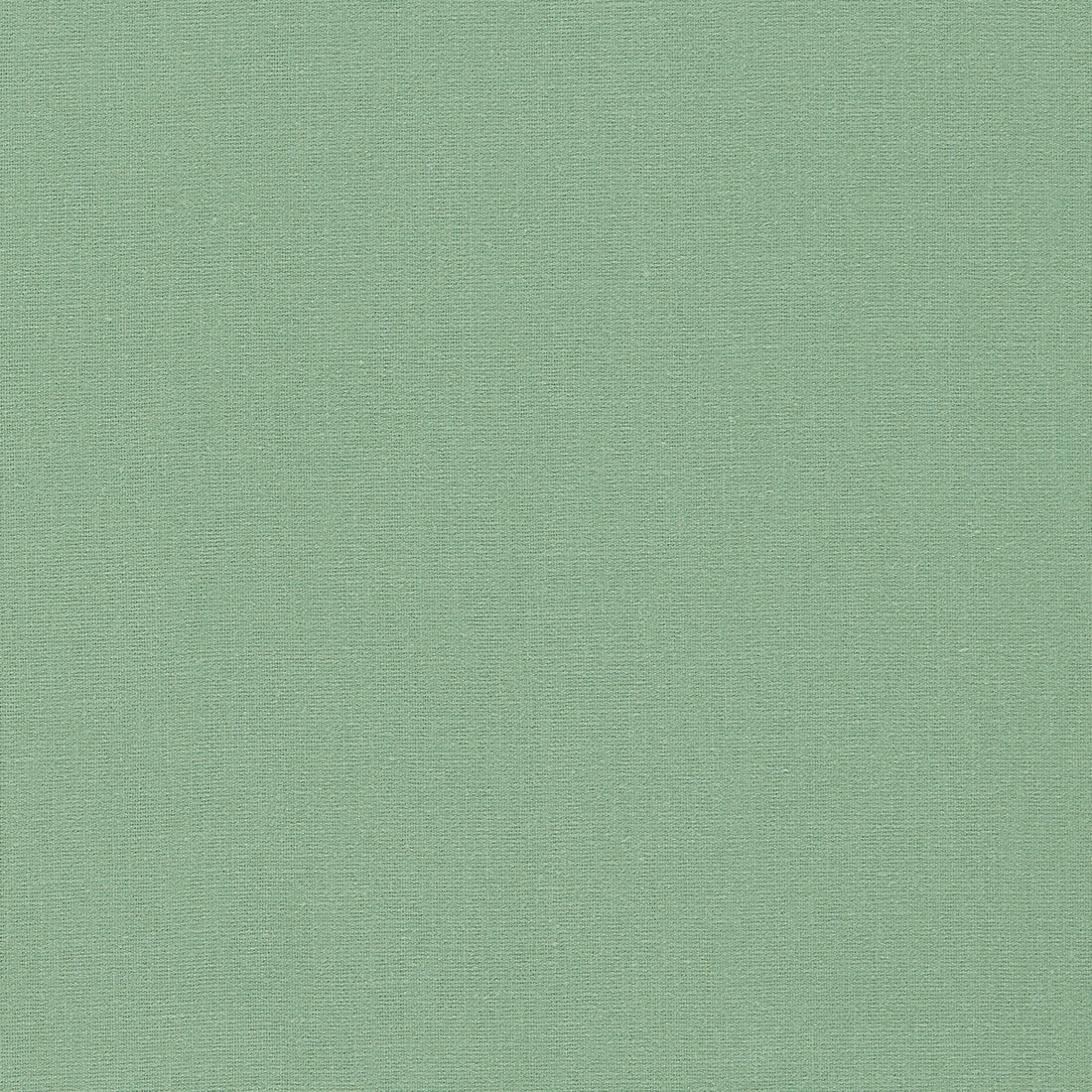 Lazio fabric in herb color - pattern F1537/18.CAC.0 - by Clarke And Clarke in the Clarke &amp; Clarke Lazio collection
