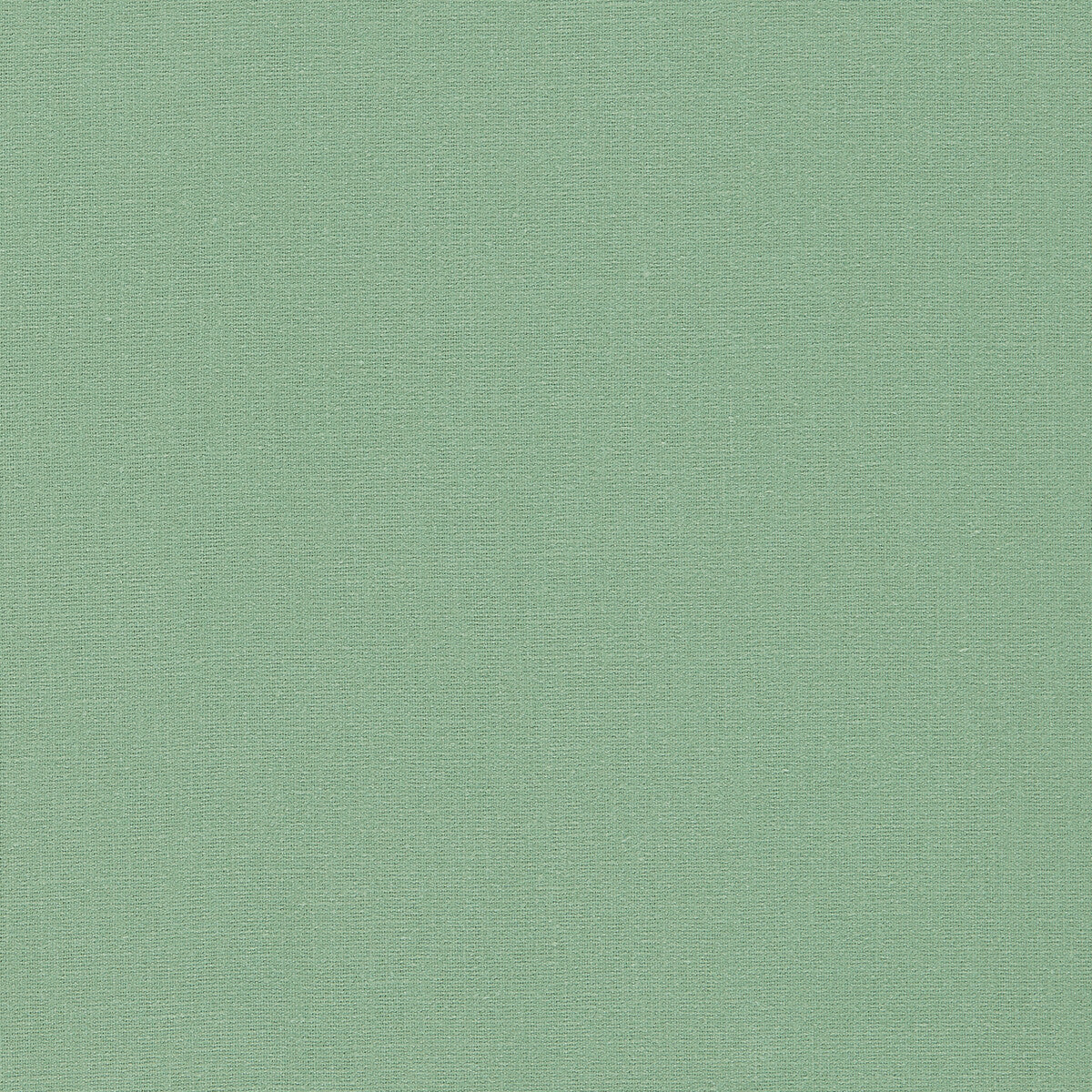 Lazio fabric in herb color - pattern F1537/18.CAC.0 - by Clarke And Clarke in the Clarke & Clarke Lazio collection