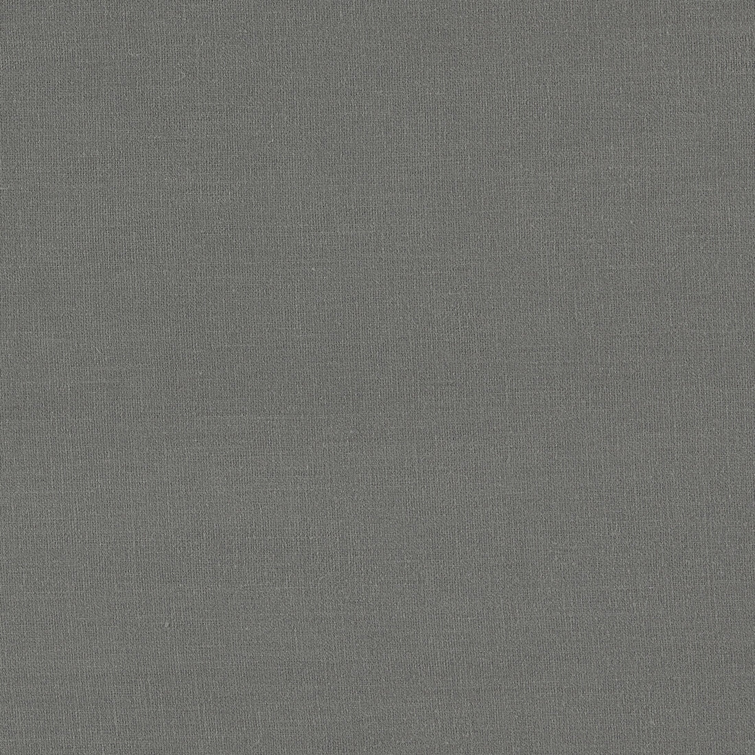 Lazio fabric in steel color - pattern F1537/29.CAC.0 - by Clarke And Clarke in the Clarke &amp; Clarke Lazio collection