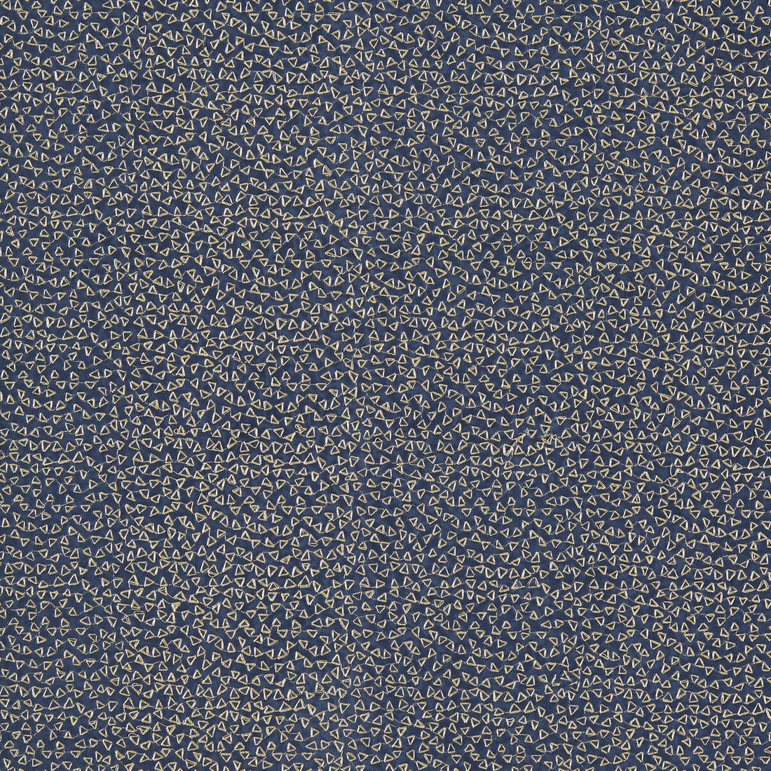 Ricamo fabric in midnight color - pattern F1548/02.CAC.0 - by Clarke And Clarke in the Clarke &amp; Clarke Dimora collection
