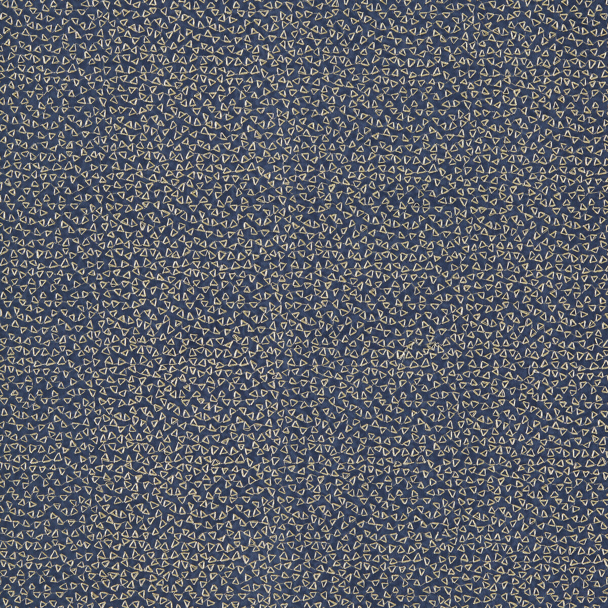 Ricamo fabric in midnight color - pattern F1548/02.CAC.0 - by Clarke And Clarke in the Clarke & Clarke Dimora collection