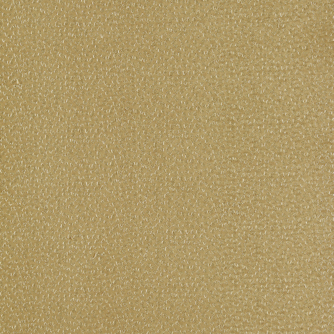 Ricamo fabric in ochre color - pattern F1548/04.CAC.0 - by Clarke And Clarke in the Clarke &amp; Clarke Dimora collection