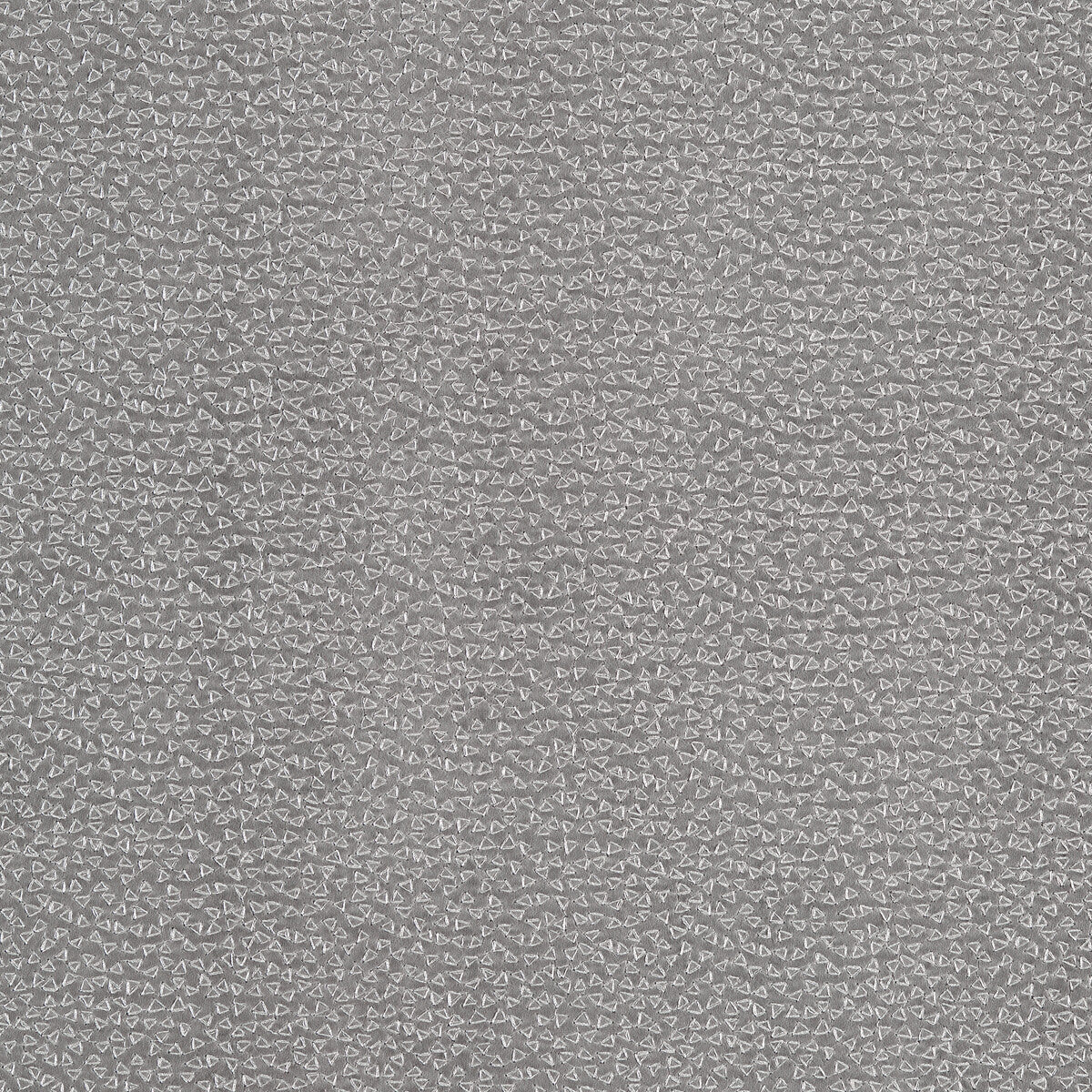 Ricamo fabric in pewter color - pattern F1548/05.CAC.0 - by Clarke And Clarke in the Clarke & Clarke Dimora collection