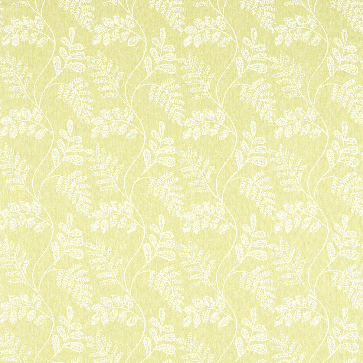 Audette fabric in citron color - pattern F1553/02.CAC.0 - by Clarke And Clarke in the Clarke & Clarke Pavilion collection