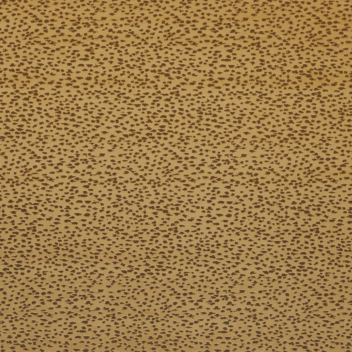 Astral fabric in gold color - pattern F1564/02.CAC.0 - by Clarke And Clarke in the Illusion By Studio G For C&C collection