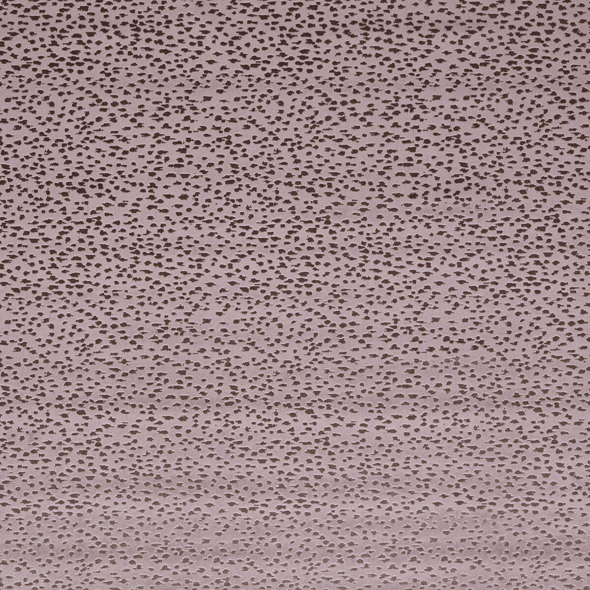 Astral fabric in heather color - pattern F1564/03.CAC.0 - by Clarke And Clarke in the Illusion By Studio G For C&C collection