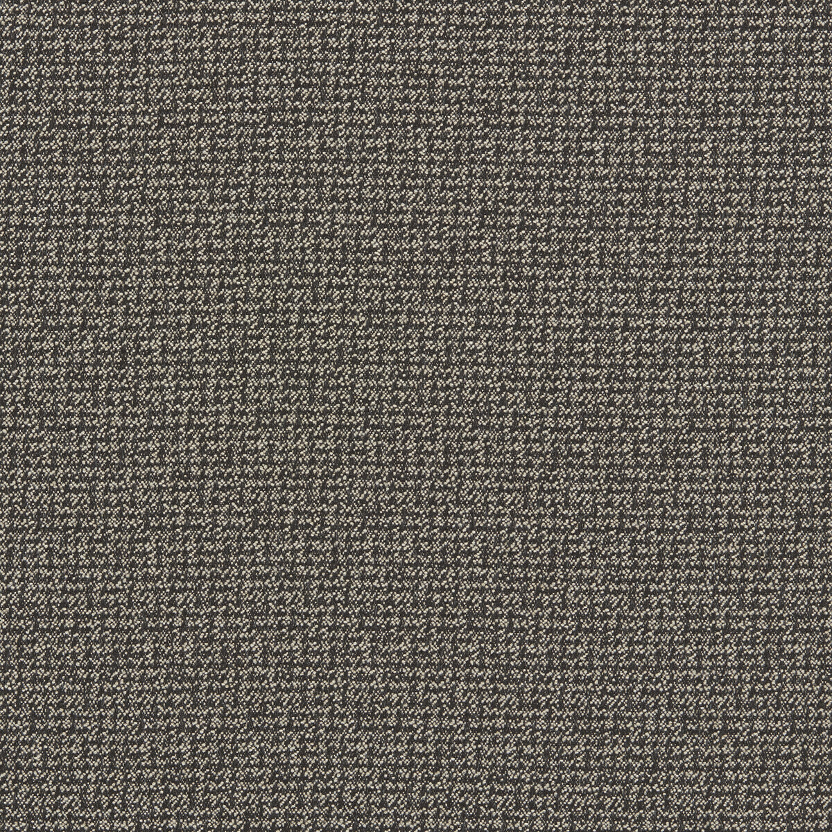 Malone fabric in charcoal color - pattern F1569/01.CAC.0 - by Clarke And Clarke in the Clarke & Clarke Burlington collection