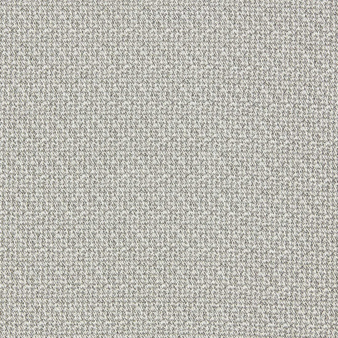 Malone fabric in silver color - pattern F1569/06.CAC.0 - by Clarke And Clarke in the Clarke &amp; Clarke Burlington collection