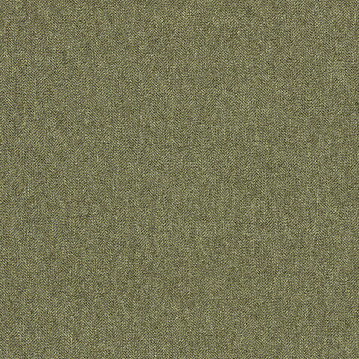 Rowland fabric in moss color - pattern F1570/07.CAC.0 - by Clarke And Clarke in the Clarke & Clarke Burlington collection