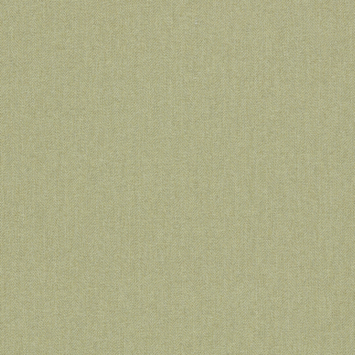 Rowland fabric in olive color - pattern F1570/08.CAC.0 - by Clarke And Clarke in the Clarke & Clarke Burlington collection