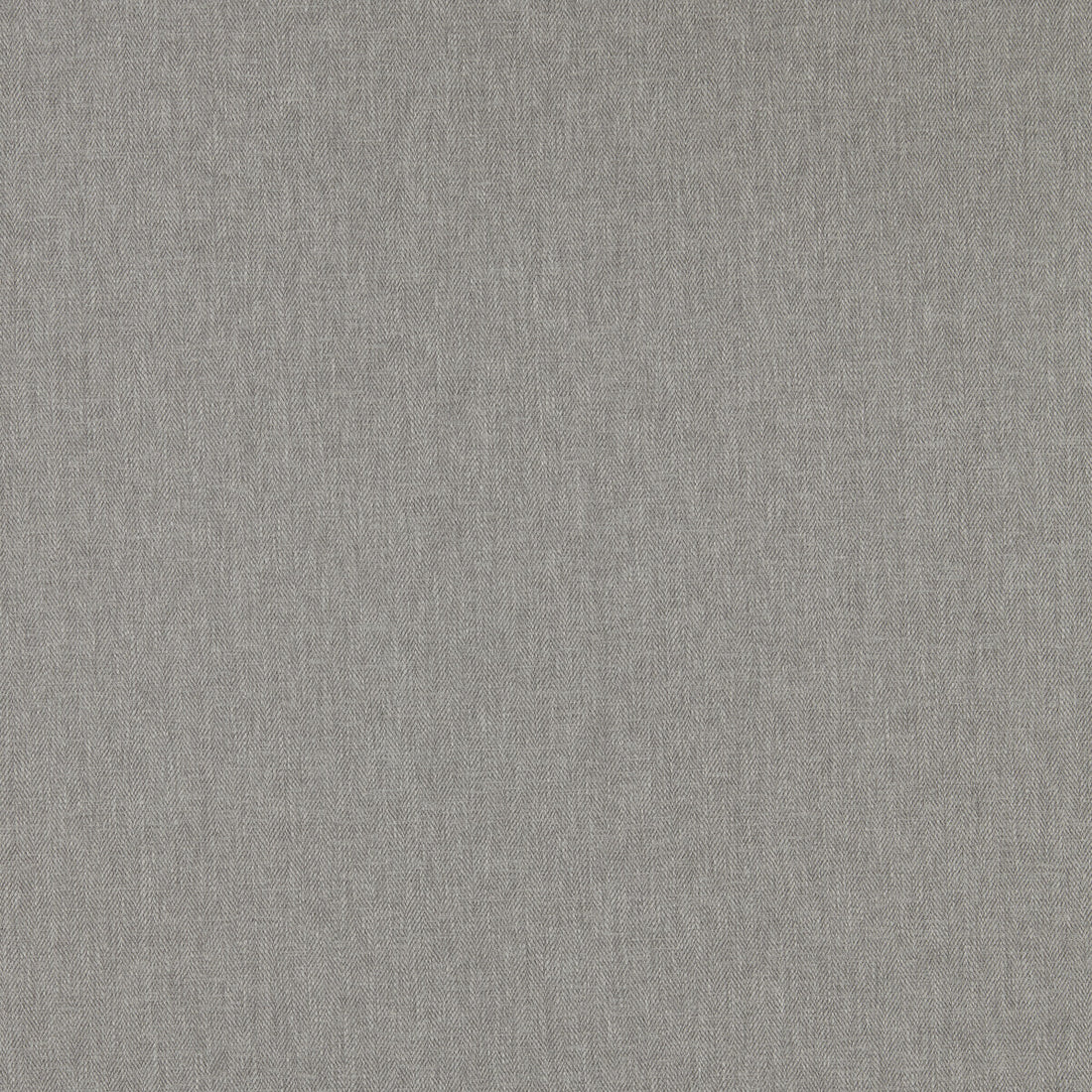 Orla fabric in ash color - pattern F1572/02.CAC.0 - by Clarke And Clarke in the Orla By Studio G For C&amp;C collection