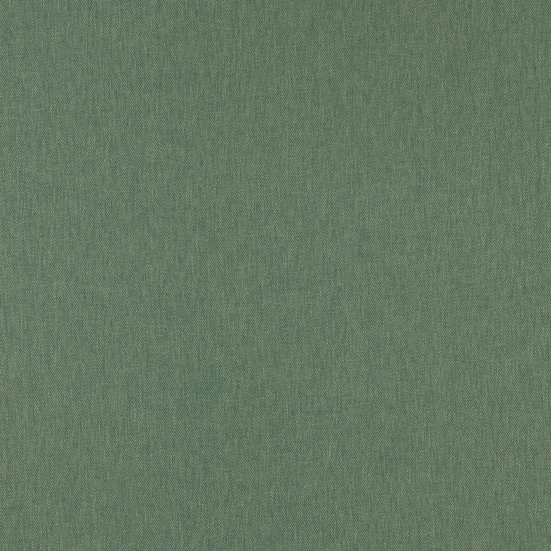 Orla fabric in herb color - pattern F1572/09.CAC.0 - by Clarke And Clarke in the Orla By Studio G For C&amp;C collection