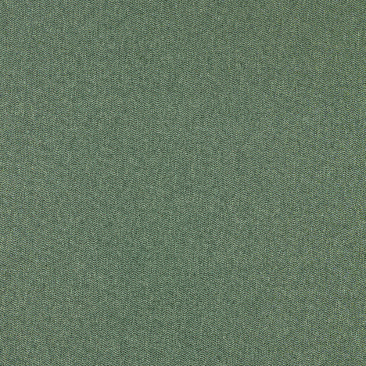 Orla fabric in herb color - pattern F1572/09.CAC.0 - by Clarke And Clarke in the Orla By Studio G For C&C collection